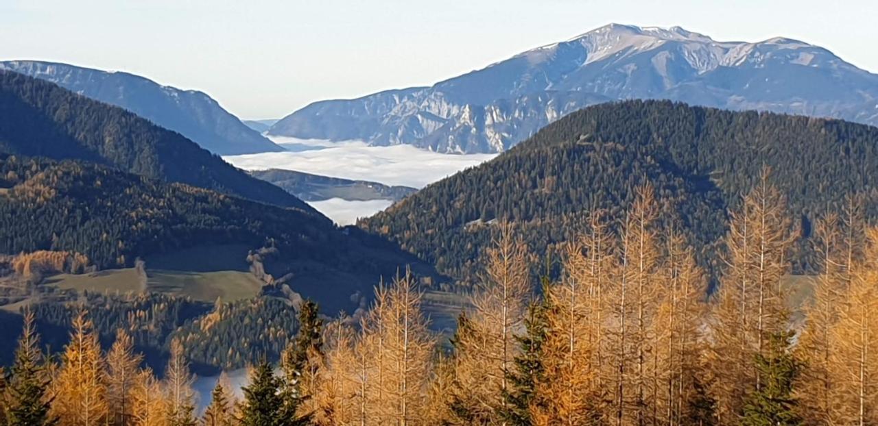 Hubertushof Ξενοδοχείο Trattenbach  Εξωτερικό φωτογραφία